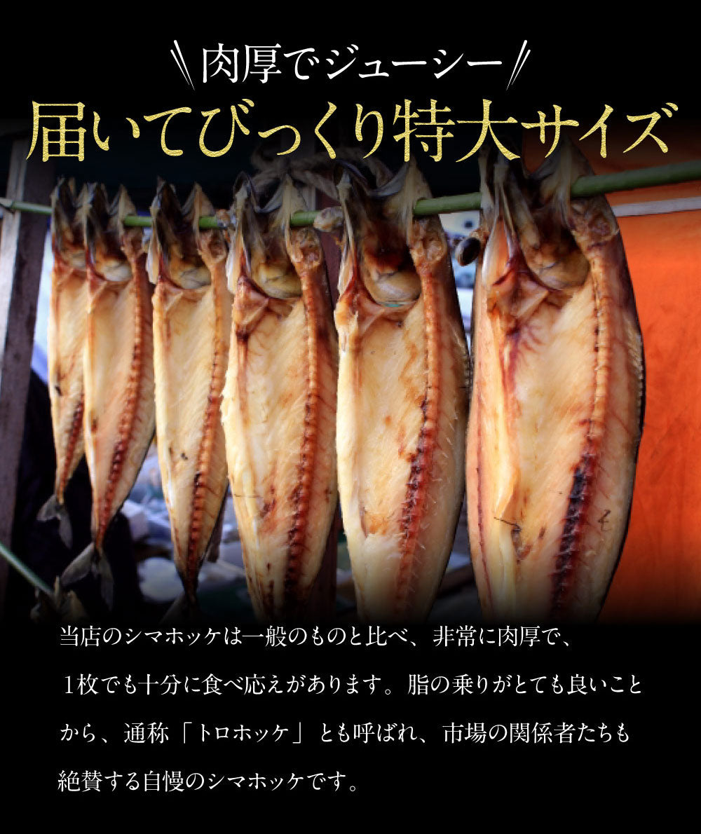 【肉厚で脂乗り抜群】特大シマホッケ400g前後