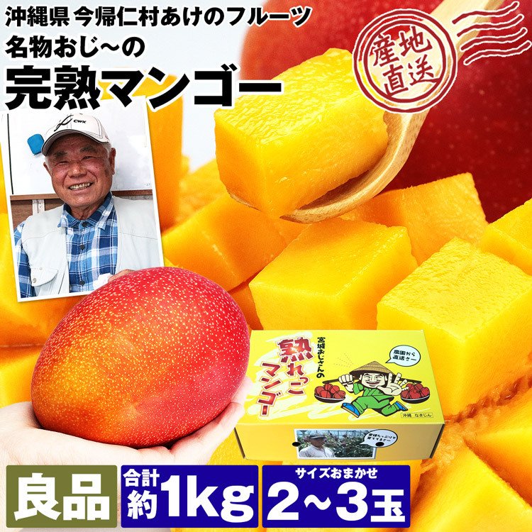 【50人シェア買い企画】マンゴー 沖縄 完熟マンゴー 良品 1kg 2〜3玉 糖度14度選果 今帰仁村 産地直送 あけのフルーツ アップルマンゴー