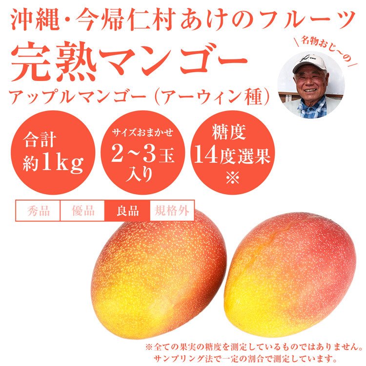 【50人シェア買い企画】マンゴー 沖縄 完熟マンゴー 良品 1kg 2〜3玉 糖度14度選果 今帰仁村 産地直送 あけのフルーツ アップルマンゴー