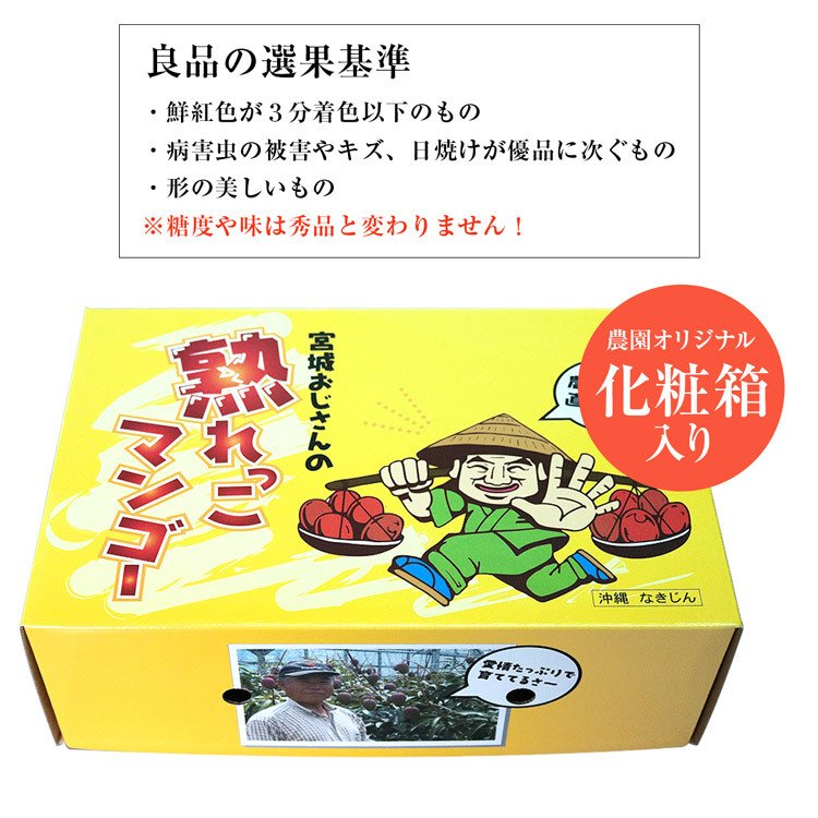 【50人シェア買い企画】マンゴー 沖縄 完熟マンゴー 良品 1kg 2〜3玉 糖度14度選果 今帰仁村 産地直送 あけのフルーツ アップルマンゴー