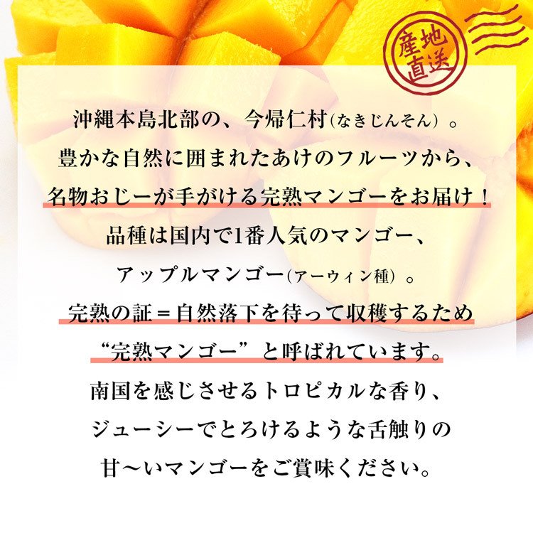 【50人シェア買い企画】マンゴー 沖縄 完熟マンゴー 良品 1kg 2〜3玉 糖度14度選果 今帰仁村 産地直送 あけのフルーツ アップルマンゴー