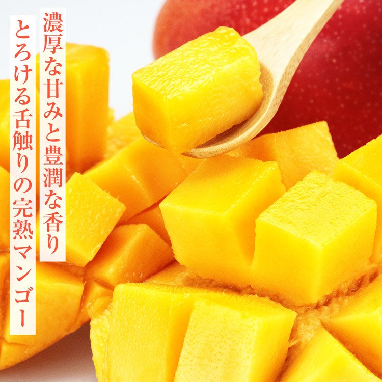 【50人シェア買い企画】マンゴー 沖縄 完熟マンゴー 良品 1kg 2〜3玉 糖度14度選果 今帰仁村 産地直送 あけのフルーツ アップルマンゴー