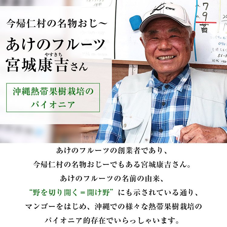 【50人シェア買い企画】マンゴー 沖縄 完熟マンゴー 良品 1kg 2〜3玉 糖度14度選果 今帰仁村 産地直送 あけのフルーツ アップルマンゴー