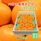 【みかん せとか 愛媛県 送料無料】愛媛県の農協 JAえひめ中央 愛媛のハウス栽培せとか 2.7kg農協産地直送便でお届け【ギフト 贈り物 プレゼント】
