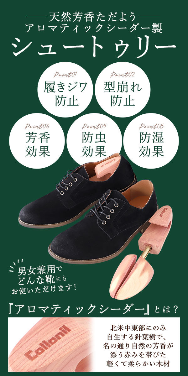 【WoMen's M(23.5-25.0)】 コロニル シューキーパー 通販 シューツリー シュートゥリー シューズキーパー collonil 靴用 Lサイズ アロマテックシーダー Mサイズ 消臭 靴 型崩れ 定番 シダー 木製 アロマティック