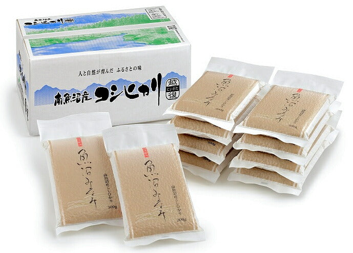 【送料込み】令和５年産 コシヒカリ 魚沼産 新潟県 南魚沼 JAみなみ魚沼農協特Ａ地区 南魚沼産 コシヒカリ真空パック包装 300g 10個セット