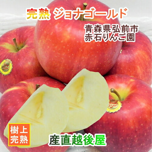 【フルーツ りんご 青森りんご 送料無料】青森県弘前市 赤石りんご園青森りんご ジョナゴールド 4.5kg（14玉～20玉）通常品期間限定 樹上完熟りんご【リンゴ 果物 贈答品 ギフト】