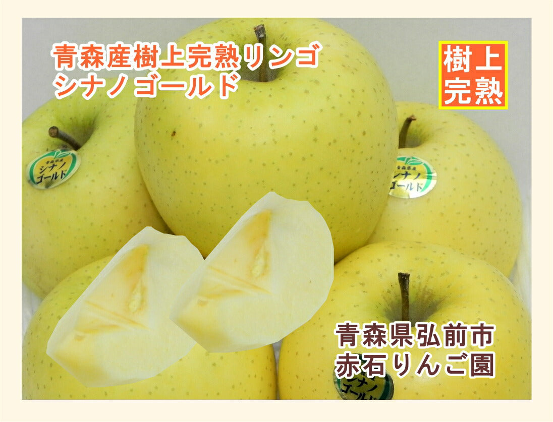 【フルーツ りんご 青森りんご 送料無料】青森県弘前市 赤石りんご園青森りんご シナノゴールド 5kg（12玉～20玉）通常品期間限定 樹上完熟りんご【リンゴ 果物 贈答品 ギフト】