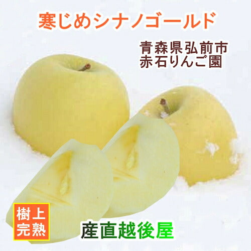 【フルーツ りんご 青森りんご】青森県弘前市 赤石りんご園青森りんご 寒じめシナノゴールド 5kg通常品 樹上完熟りんご 送料無料【リンゴ 果物 贈答品 ギフト】