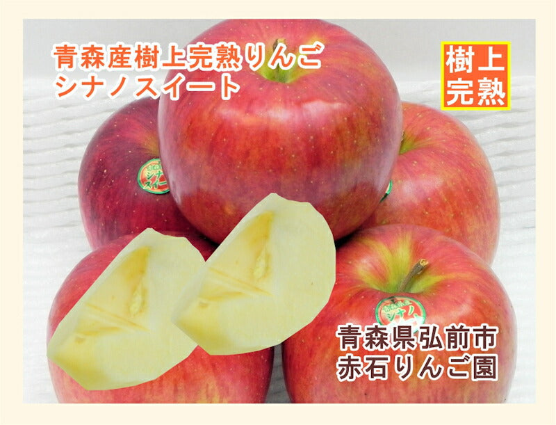 【フルーツ りんご 青森りんご 送料無料】青森県弘前市 赤石りんご園青森りんご シナノスィート 5kg（12玉～20玉）通常品期間限定 樹上完熟りんご【リンゴ 果物 贈答品 ギフト】