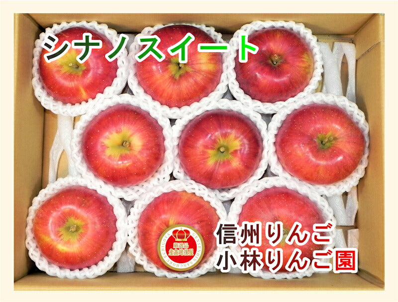 【フルーツ りんご 信州りんご】長野県佐久市 小林りんご園樹上完熟信州りんご シナノスイート 5kg（12玉～20玉）長野県認定 エコファーマー農園送料無料【リンゴ 果物 贈答品 ギフト】