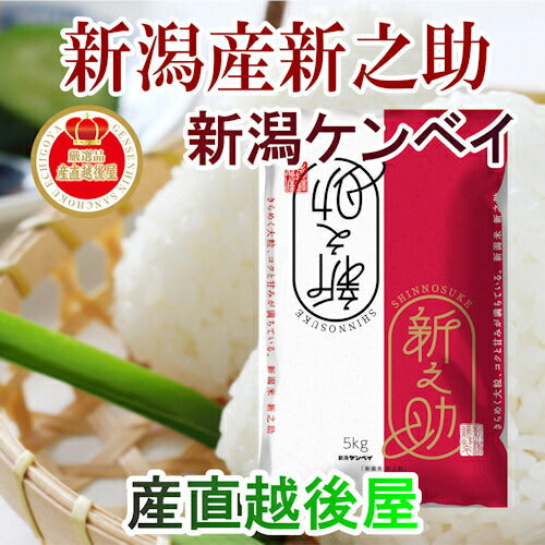 【送料込み】令和４年産 新之助 新潟県産 新ブランド米新之助 30kg 新潟県産米