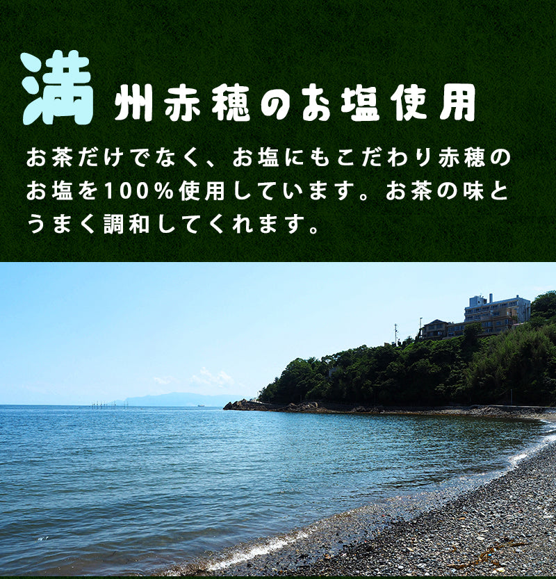 100g  茶塩 煎茶