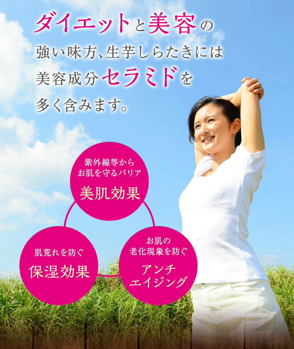 【限定クーポンで20%OFF】250gｘ20パック　しらたき 白滝 糸こんにゃく