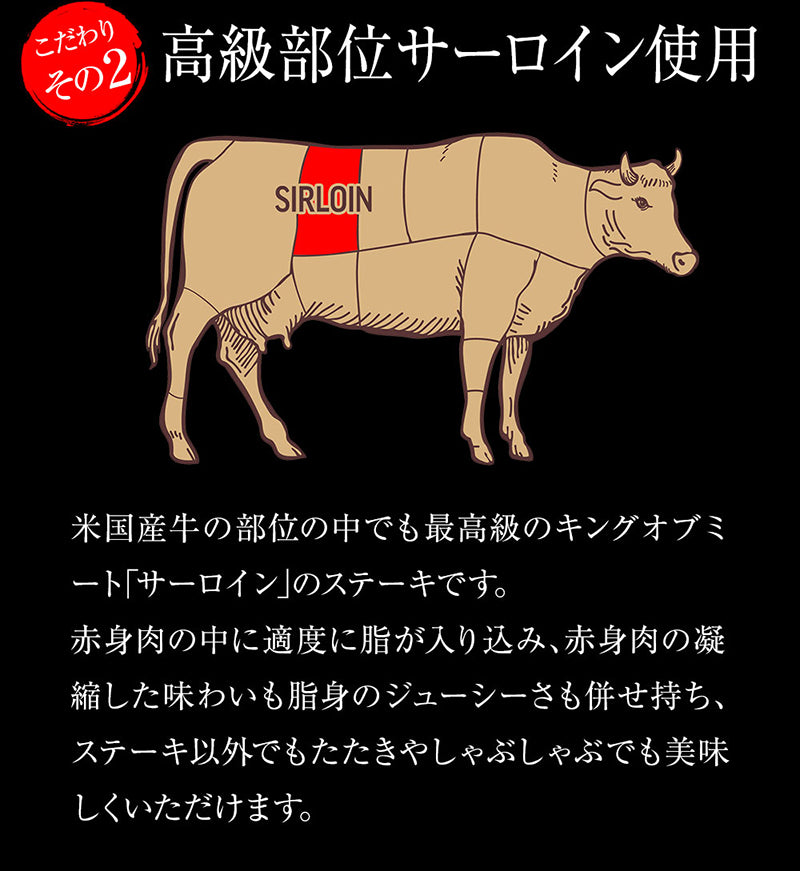 【松鷹屋】サーロインステーキ10食セット 1kg 100g×10枚 ステーキ サーロイン 米国産牛【ブラックフライデー・サイバマンデー特別価格】
