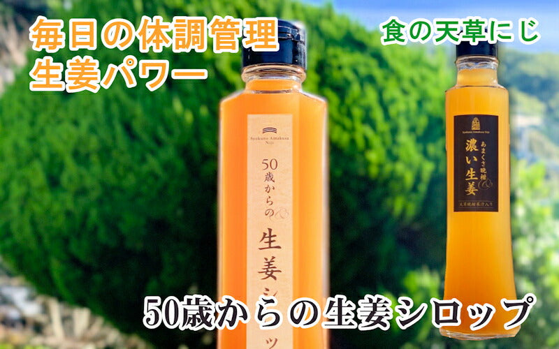 【果実飲料 生姜シロップ 体調管理】熊本県 天草市 食の天草にじ50歳からの生姜シロップ 5倍希釈 3本天草産の天草晩柑 根生姜 純正蜂蜜使用送料無料【飲料 野菜 ジュース ギフト】