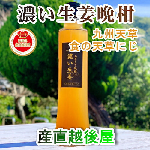 【果実飲料 生姜シロップ 体調管理】熊本県 天草市 食の天草にじあまくさ晩柑＆濃い生姜 5倍希釈 2本天草産の天草晩柑 根生姜 純正蜂蜜使用送料無料【飲料 野菜 ジュース ギフト】