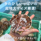 【50%OFF！限定30セット】2kg 青森県産活ホタテ【ブラックフライデー・サイバマンデー特別価格】