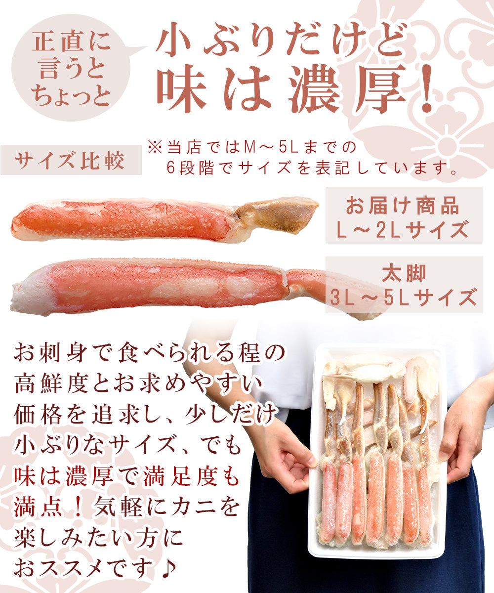 ズワイガニ ハーフポーション 500g 2～3人前 冷凍（ボイル）【ブラックフライデー・サイバマンデー特別価格】