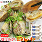 冷凍あさり 250g×4P 合計1kg 砂抜き済み 浅利 アサリ 殻付き 送料無料 冷凍便 お取り寄せグルメ 食品 ギフト 海鮮