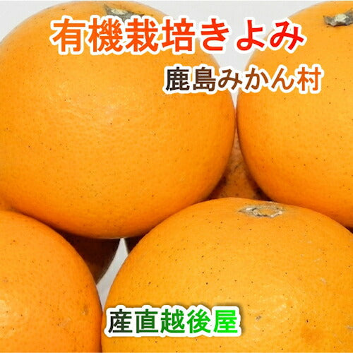 【フルーツ みかん 有機栽培 きよみ】佐賀県 鹿島市 有機みかん佐藤農場有機栽培 きよみ 2.5kg採りたてを農園から産地直送 送料無料【ミカン 果実 ギフト 無農薬栽培】