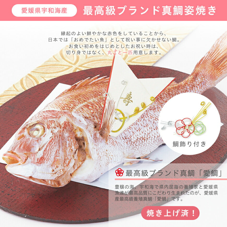 【新商品】《鯛1kg》 お食い初め セット【hitomi監修 LOVE FIRST MEAL（ラブ ファースト ミール）】 これ1つで簡単本格お食い初め 国産最高級ブランド真鯛 歯固め石 鯛めしレシピ付【蛤吸・赤飯・祝箸 追加購入可】出産祝い ギフト