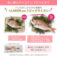 ★非掲載★お食い初め セット 料理 【hitomi監修 てまり寿司付き！お食い初めセット】 100日祝い 国産天然真鯛 歯固め石 手引書 鯛めしレシピ付【蛤吸・赤飯・祝箸 追加購入可】お食い初めセット 送料無料 パーティー 出産祝い フォトフレーム