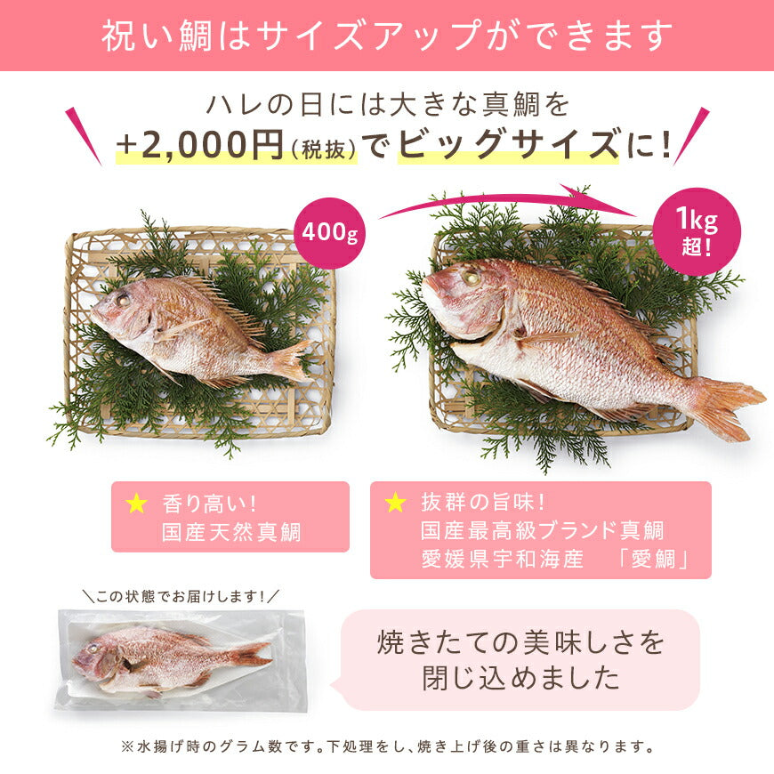 ★非掲載★お食い初め セット 料理 【hitomi監修 てまり寿司付き！お食い初めセット】 100日祝い 国産天然真鯛 歯固め石 手引書 鯛めしレシピ付【蛤吸・赤飯・祝箸 追加購入可】お食い初めセット 送料無料 パーティー 出産祝い フォトフレーム