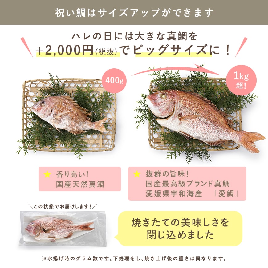 服部幸應先生監修 お食い初め はじめての食育膳 食器セット(女の子用) 【MOGU】