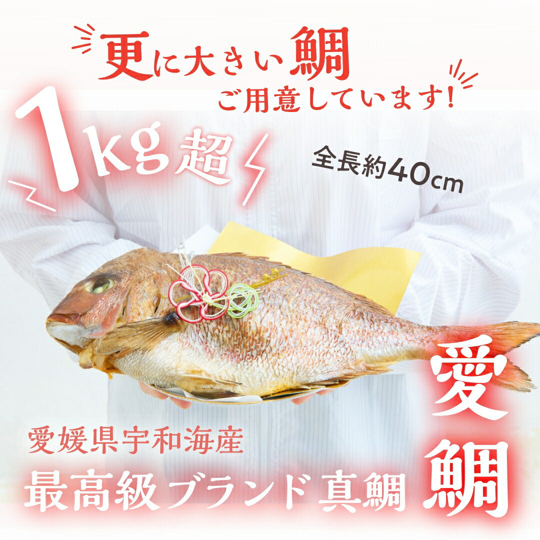 ★非掲載★お食い初めセット 【花むすび・えん お食い初め膳 -はれももかプティ-】 これ1つで簡単本格お食い初め 国産天然真鯛 料理 歯固め石 手引書 鯛めしレシピ付 / 蛤吸・赤飯・祝箸 追加購入可 / パーティー 出産祝い お正月 ギフト