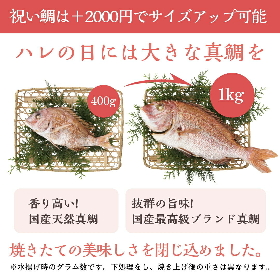 【ベビーキッズリリース記念セール】お食い初めセット【花むすび・えん お食い初め膳 -はれももかプティ-《ケーキ5号》】これ1つで簡単本格お食い初め 国産天然真鯛 料理 歯固め石 手引書 鯛めしレシピ付 / 蛤吸・赤飯・祝箸 追加購入可 / 出産祝い ケーキ 送料無料