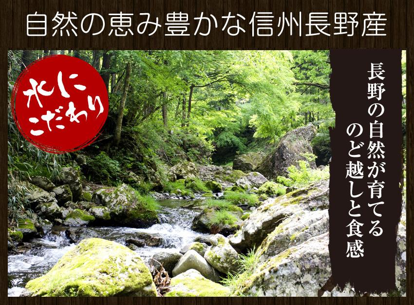 【無料でエントリー】長野県！信州そばたっぷり約7～8人前（750g）乾麺【抽選で当たる】