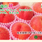 【フルーツ もも 桃 完熟桃 送料無料】新潟県 三条果実専門家集団 想樹樹上完熟厳選もも 3kg（9～12個)【お取り寄せ モモ 果実 贈答品 ギフト】
