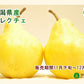 【フルーツ 洋梨 ルレクチェ 送料無料】新潟県 三条果実専門家集団 想樹樹上完熟 ルレクチェ 1kg（2個～3個）贈答用【ル・レクチェ 梨 贈答品 ギフト】