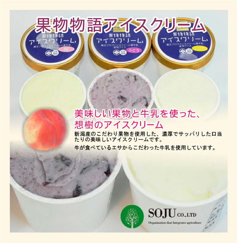 【乳製品 アイスクリーム ジェラート】新潟県 三条市 想樹果物物語 アイスクリーム店長お勧め120ml詰合せ 6個セット送料無料【贈り物 贈答品 ギフト】