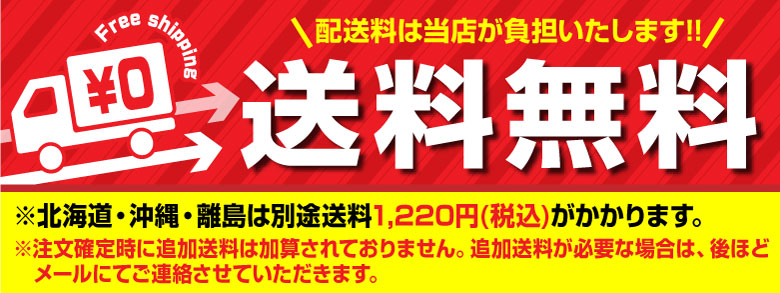 【2個セット】湯たんぽ 充電式 ゆたんぽ エコ 省エネ お湯交換不要 蓄熱式 カイロ ぽかぽか 温かい 電気湯たんぽ 電気あんか 暖房 コードレス 繰り返し使える
