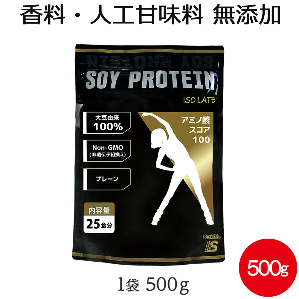 大豆 ソイ プロテイン プレーン 無添加 500g