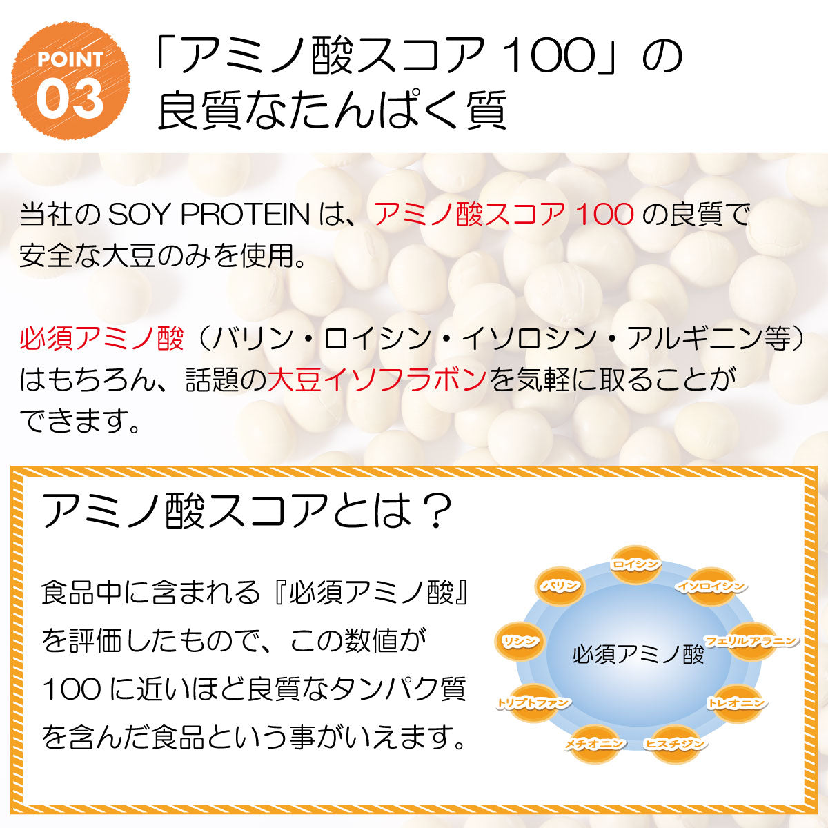 大豆 ソイ プロテイン プレーン 無添加 500g