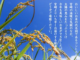 12kg (白米 2kg×6袋) 令和２年産  宮崎県産こしひかり