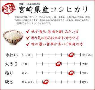 12kg (白米 2kg×6袋) 令和２年産  宮崎県産こしひかり