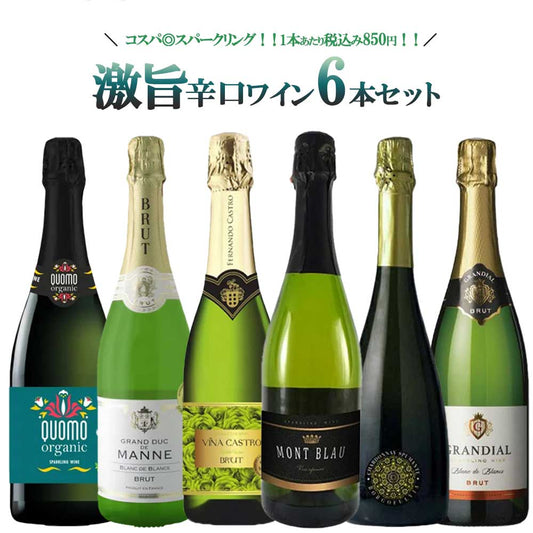 【送料無料】ワイン セット 辛口だけ！衝撃コスパスパークリング 第2弾 750ml 6本セット辛口 スパーク 白 泡 ギフト【北海道・東北・四国・九州・沖縄県は必ず送料がかかります】