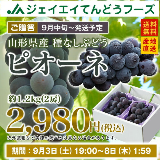 【送料無料】【贈答用★ギフト】山形県産種なしピオーネ２房入り(約1.2kg)