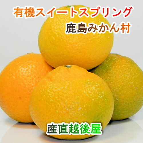 【フルーツ みかん 有機スイートスプリング】佐賀県 鹿島市 有機みかん佐藤農場有機栽培 スイートスプリング 5kg採りたてを農園から産地直送 送料無料【ミカン 果実 ギフト 無農薬栽培】
