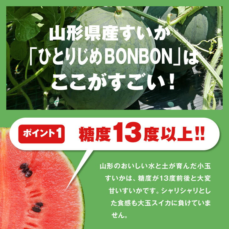 贈答用 山形県産黒皮小玉すいか 2玉入※一部地域は別途送料 A品  wm02