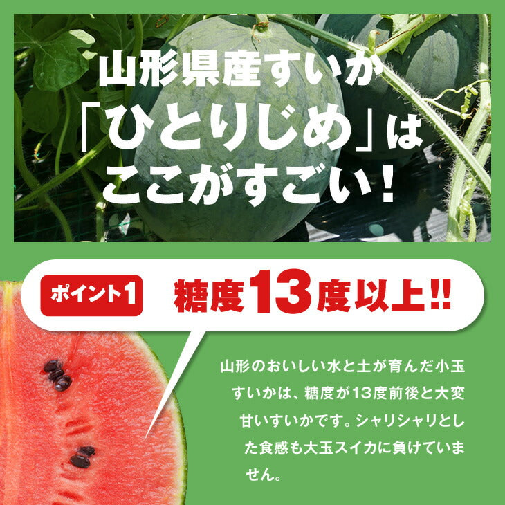 【早期予約】贈答用 山形県産小玉すいか 姫甘泉 2玉 wm01