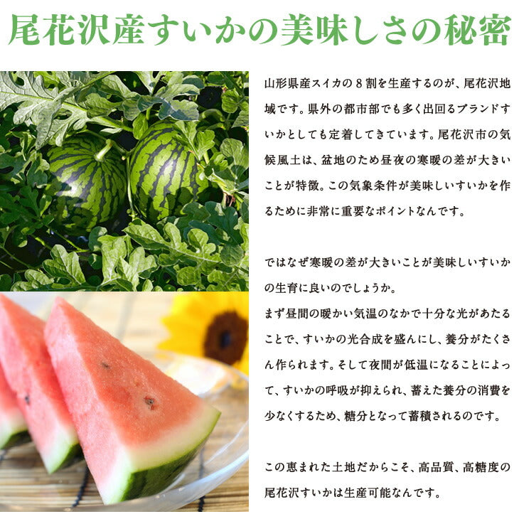 【早期予約】お買い得品 山形県尾花沢産すいか／M玉以上・1箱2玉いり※送料無料(一部地域を除く)wm04