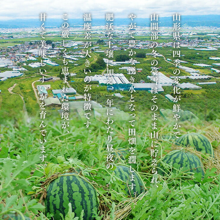 贈答用 山形県産小玉すいか A品 約3〜4kg／2玉入　※一部地域は別途送料 wm01