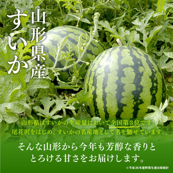 【早期予約】贈答用 山形県産小玉すいか 姫甘泉 2玉 wm01