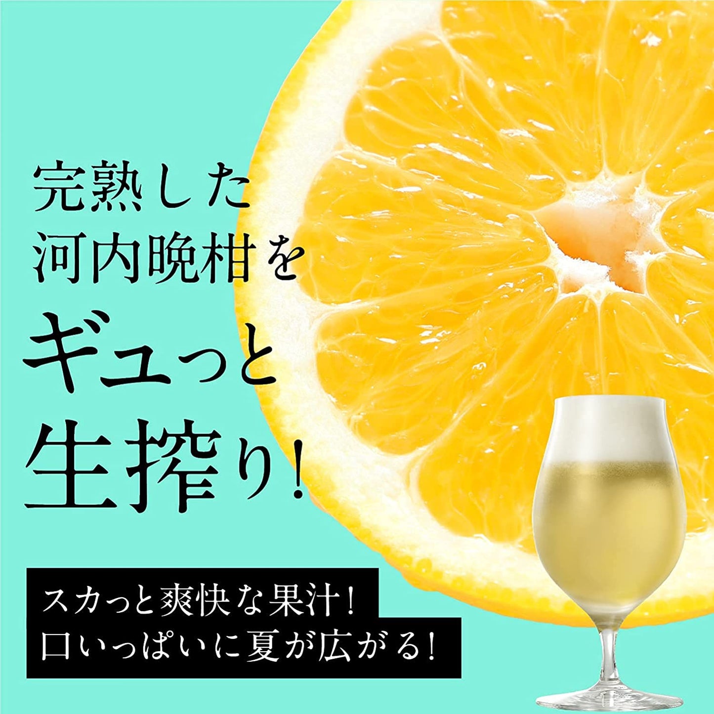 クラフトビール 季節限定 【熊本県産「河内晩柑」をギュッと生搾り】 CRAFTX シトラスバケーション 6瓶【ブラックフライデー・サイバマンデー特別価格】