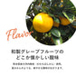 クラフトビール 季節限定 【熊本県産「河内晩柑」をギュッと生搾り】 CRAFTX シトラスバケーション 6瓶【ブラックフライデー・サイバマンデー特別価格】